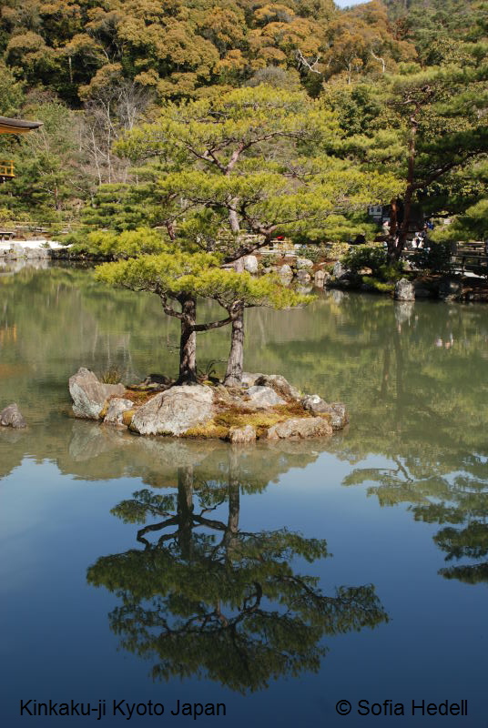Kinkaku-ji, Kyoto, Japan