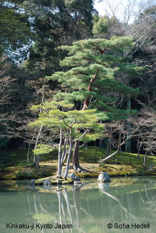 Kinkaku-ji, Kyoto, Japan