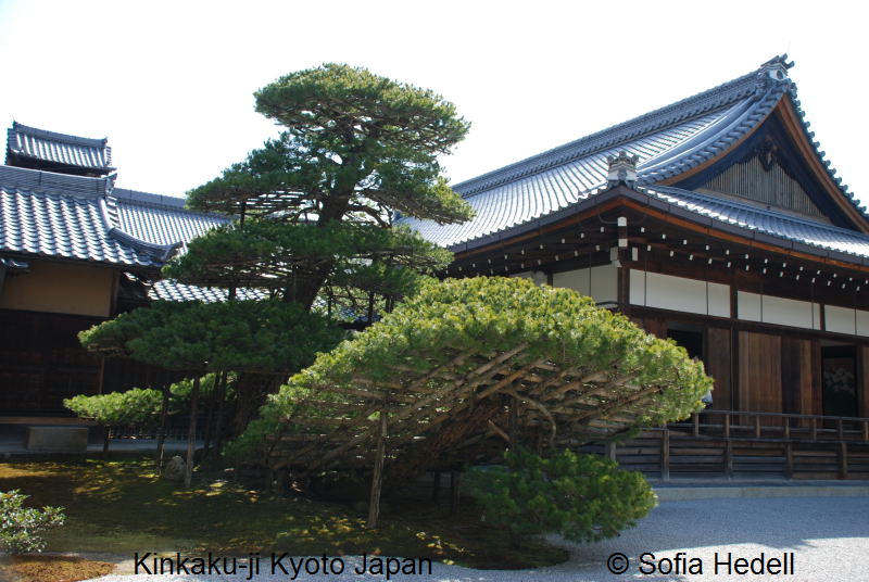 Kinkaku-ji, Kyoto, Japan