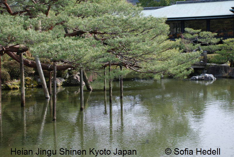 Heian Jingu Shinen, Kyoto, Japan