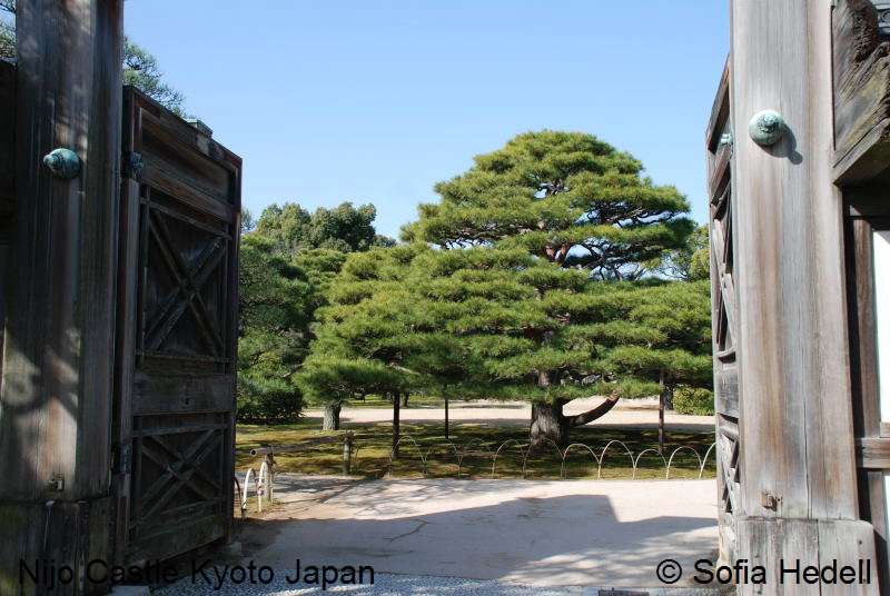 Nijo Castle, Kyoto, Japan